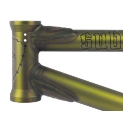 Subrosa Rose Frame Trans Green Fade - 20.9’’